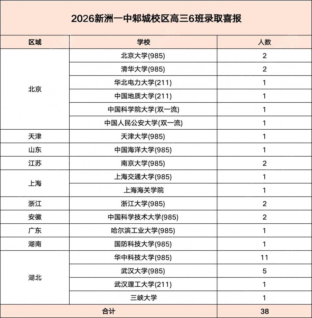 新洲一中2