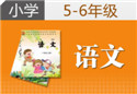 小学5-6年级语文一对一辅导课程