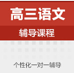 高三语文一对一辅导课程
